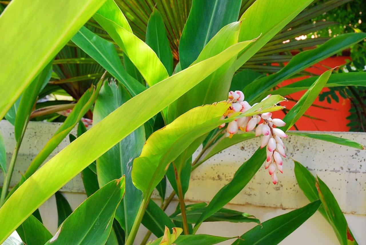 House Sea View Private Garden, 5 People, Optical Fiber Villa Puerto de la Madera Ngoại thất bức ảnh