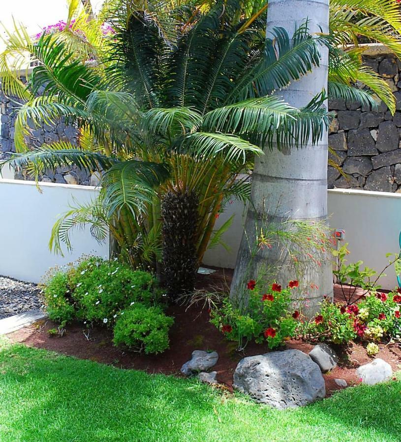 House Sea View Private Garden, 5 People, Optical Fiber Villa Puerto de la Madera Ngoại thất bức ảnh